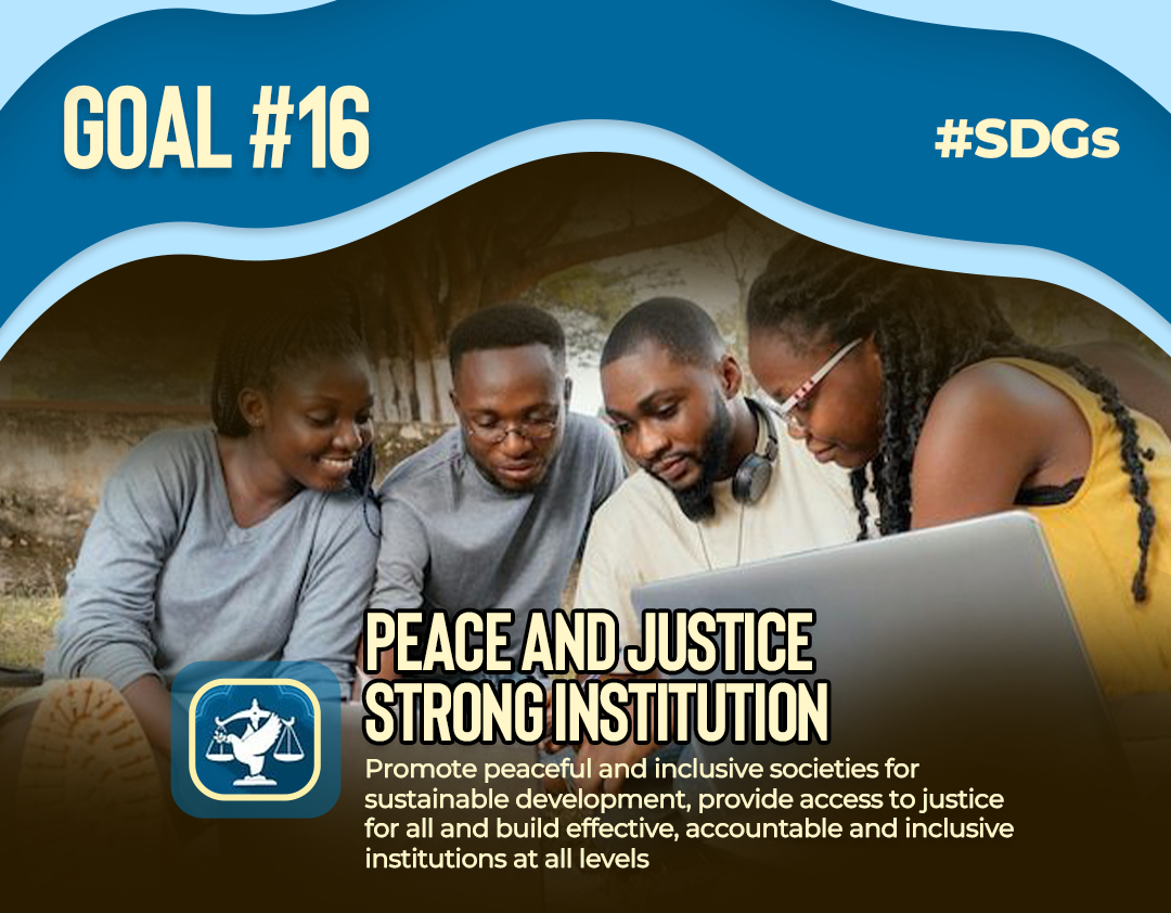 Peace and Justice Strong Institution